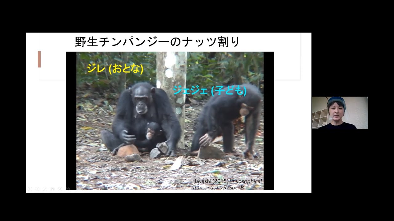 動物園飼育員と研究者が語る 霊長類学オンライン体験講座#1 