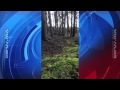 Video Captan respiraciÃ³n del suelo de un bosque en Canada