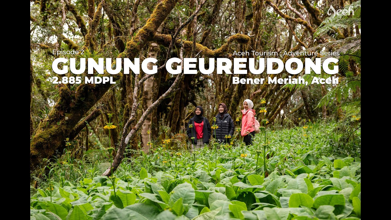 Aceh Tourism Adventure Series | GUNUNG GEUREUDONG EPISODE 2