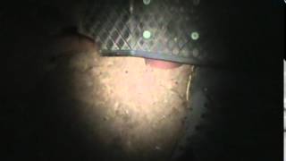 Exploring Construction Site