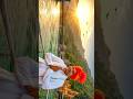 Jai Ghanga Maiya #bhaktimusic Ram Bhajan official-1 Rajesh Kalyan Kutail wala
