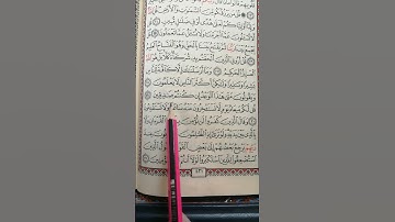 تعليم سورة سبأ من 30 إلى 31