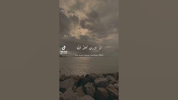 تلاوة خاشعة | حالات واتس اب دينية | رعد الكردي ❗