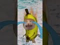 The Story of Banana Cat😹🍌｜Rescuing a Burning Cat🫗