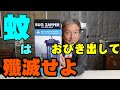 2000円の電撃蚊取りを使ってみた【今年の夏はこれで乗り切ろう】