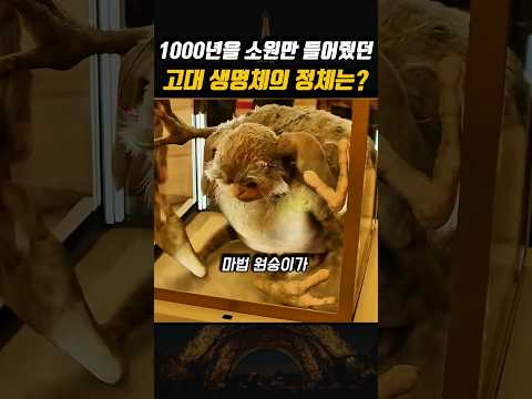나이만 10억살인 마법 생물이 모래속에 숨어있던 이유는? 😱