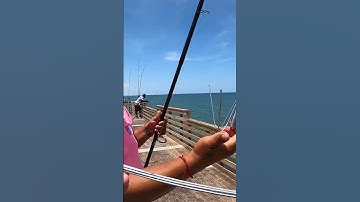 Thumbnail of Catching a Pier GIANT and Eating it 🎣