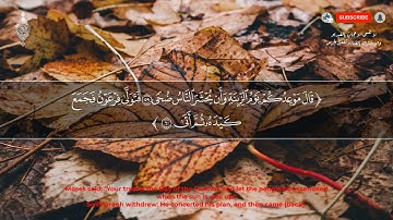 صوته ينسيك الدنيا لعذوبة صوت القارئ !! تلاوة هادئة(خاشعة)    سورة طه   كاملة   القارئ انس محمد