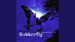 Butterfly（无情的暴雨配多情的他）