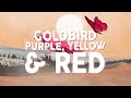 Goldbird - Purple, Yellow & Red (Lyrics)