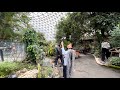Bloedel Conservatory Vancouver Canada house of birds , flora and fauna and rodents and mice