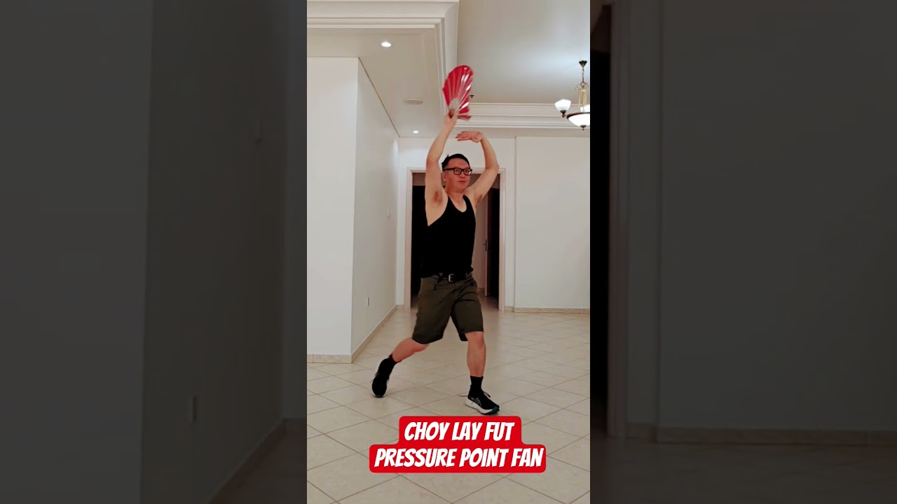 Choy Lay Fut Pressure Point Fan drill