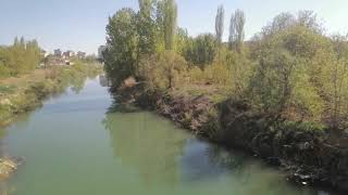The Lush Symphony: Nature's Green Embrace and the River's Serenade