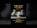 Origins of Chuck Berry’s Duck Walk 🦆 🎸 #duckwalk #chuckberry #duck #walk #rock #roll #history