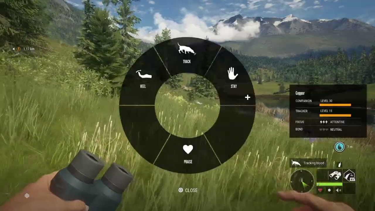 theHunter: Call of the Wild_ Shoot a albino Buffalo