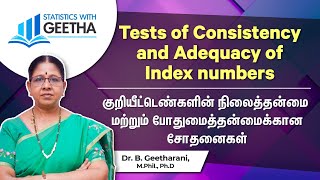 Tests of consistency and adequacy of index numbers