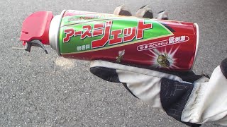 アースジェット（ハエ・蚊用）でスズメバチを駆除してみました。