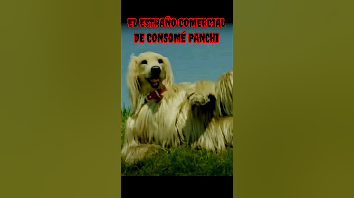 El extraño Comercial Japonés de Consomé panchi #shortvideo