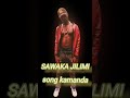 Sawaka Jilumi Kamanda