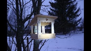 Кормушка для вольных птичек!! Кормушка для вольных птичек!!