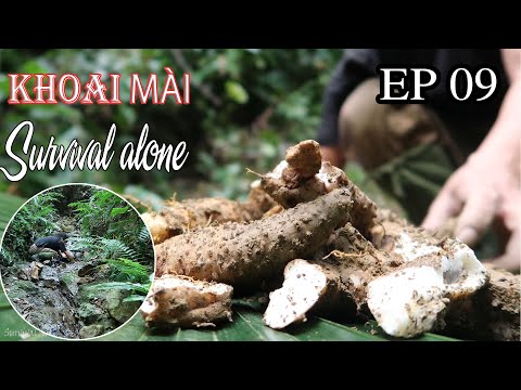 Video Thử thách 15 ngày sinh tồn một mình trong rừng mưa |... - youtube