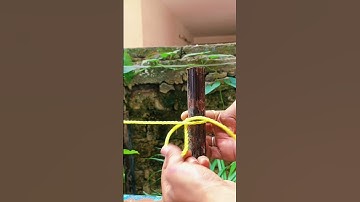 this knot simple fast reliable#diy #tips #tricks #shorts