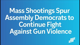 Mass Shootings Spur Assembly Democrats to Continue Fight Against Gun Violence