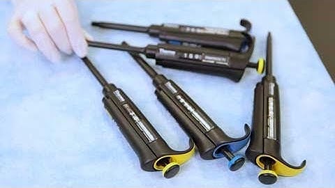 Follow Our Step-By-Step Guide on How to Use a Micropipette