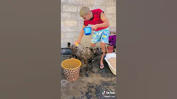 عشقك صعيب موحل نبر ينقتلك يتقتليني 