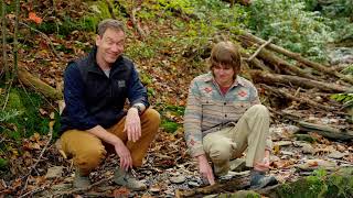 Touring the Peaceful Side with Wyatt Ellis
