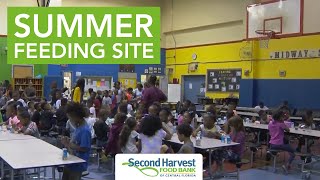 Hunger relief programs: Summer meals for kids