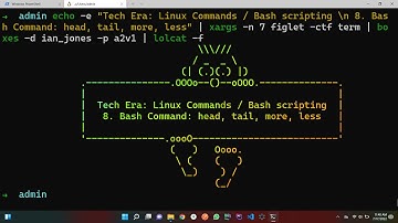 8. head, tail, more and less commands with its usage | Bash scripting | linux commands