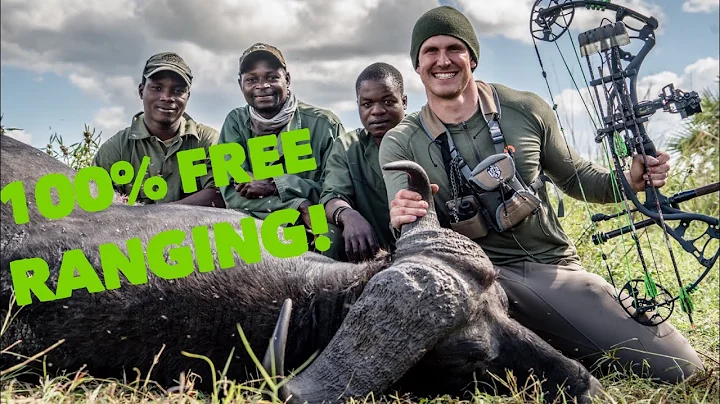 Totally FREE RANGE Cape buffalo W/ a BOW! Mozambiq...