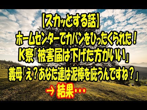 【スカッとする話】ホームセンターでカバンをひったくられた！Ｋ察「被害届は下げた方がいい」義母『え？あなた達は泥棒を庇うんですね？』 → 結果・・・