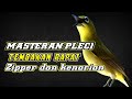 Masteran Pleci Tembakan Rapat Zipper Dan Kenarian Mp3 - Mp4 Download
