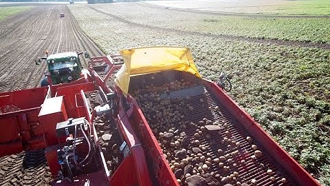 GRIMME AirSep | the new separator for potato harvesters