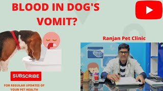 Blood in Dog's vomit - is it serious?