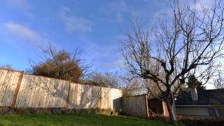 Nikon D610 Time-Lapse Sample 1