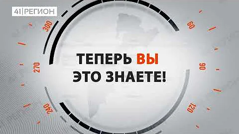 Какой цветок является символом Камчатки?