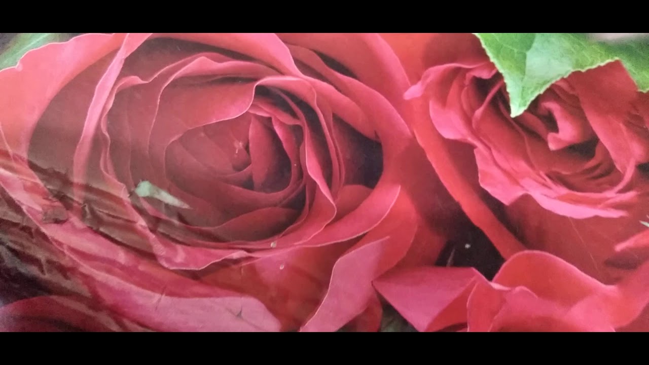 فلسفة الخامس الادبي المبحث الاول الاستاذ نصير عبد المنعم