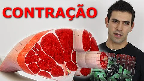 O que é contrair os músculos?