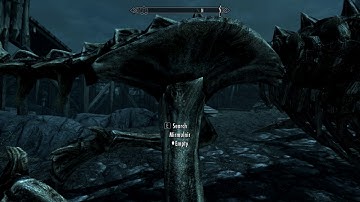 Skyrim SE moment - Did anyone order a dragon corpse?