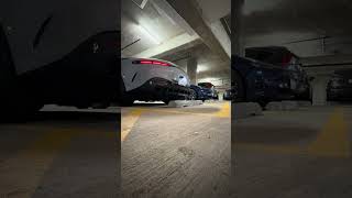 IMG 0942