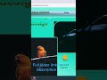 Full Webpage design all html css design in single page