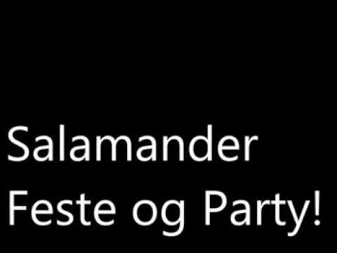Aleksander Salamander   Feste og Party!