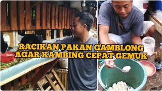 Cepat gemuk‼️pakan gamblong untuk kambing ll pengemukan kambing