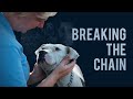 Breaking the Chain - Trailer