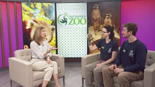 3 Plus Your Community- Chattanooga Zoo