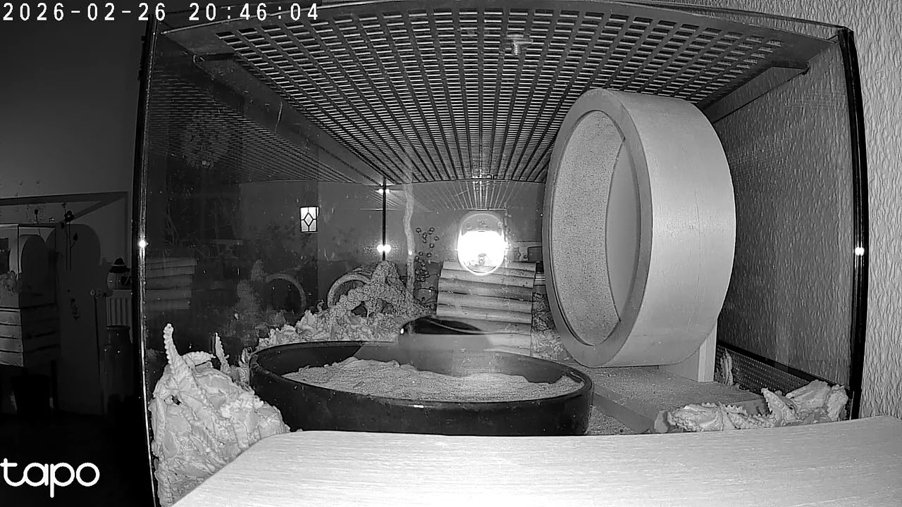 Ticki ist wach 🥰 knutschkugel