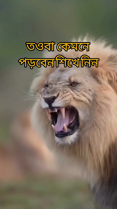 তওবা কেমনে পড়বেন শিখে নিন মিজানুর রহমান.. #shorts #shortvideo #viralvideo